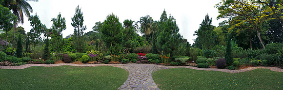 Stitched Panorama