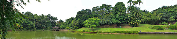 Stitched Panorama