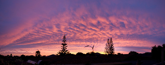 Sunset on New Year's Day 2008