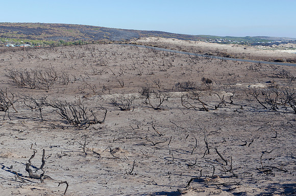Prevelly after the fires in the last week of November