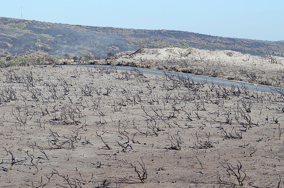 Prevelly after the fires in the last week of November