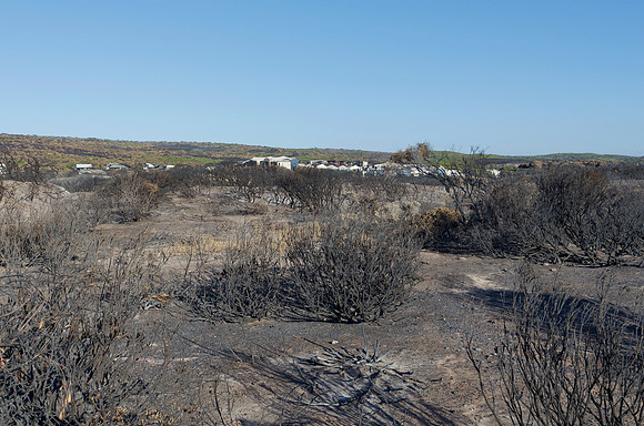 Prevelly after the fires in the last week of November