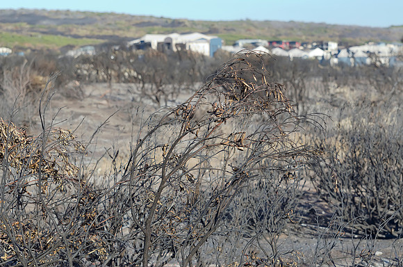 Prevelly after the fires in the last week of November