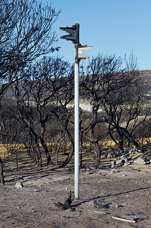 Prevelly after the fires in the last week of November
