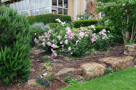 Basildene Manor
