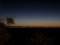 Comet McNaught