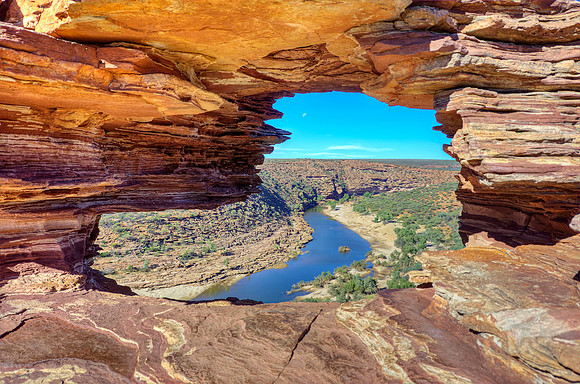Nature's Window