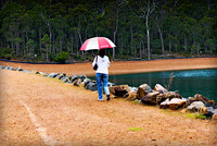 Rosemary wandering along a dam wall.