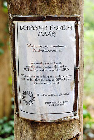 We went to the Boranup Forest Maze. It wasn't looking too good in Winter, but it was a nice break from our travels.