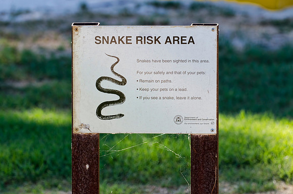Snake Risk Area