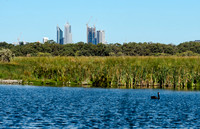 Perth from Herdsman Lake