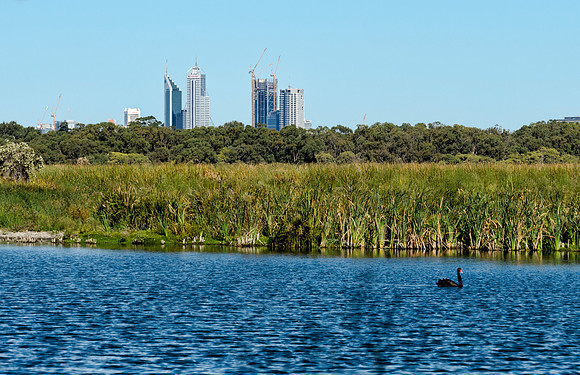 Perth from Herdsman Lake