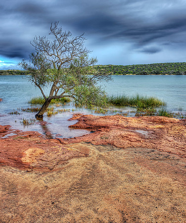 Walking along the Murchison River