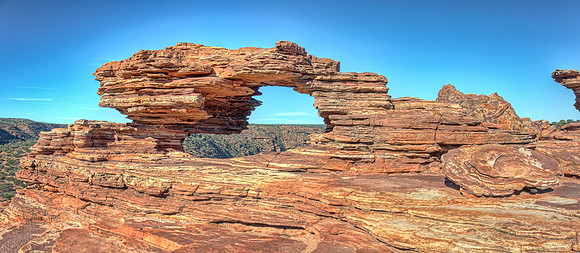 Nature's Window