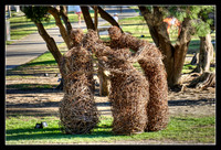 Sculpture by the Sea at Cottesloe Beach.