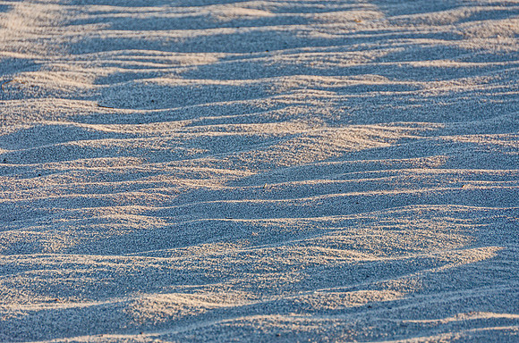 Tiny dunes in the sand
