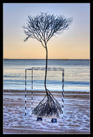 Sculpture by the Sea at Cottesloe Beach.