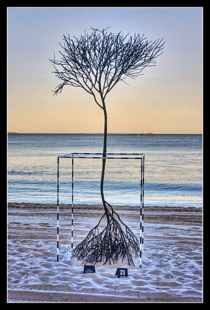 Sculpture by the Sea at Cottesloe Beach.