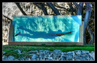Sculpture by the Sea at Cottesloe Beach.